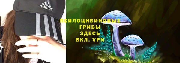 соль ск Сафоново