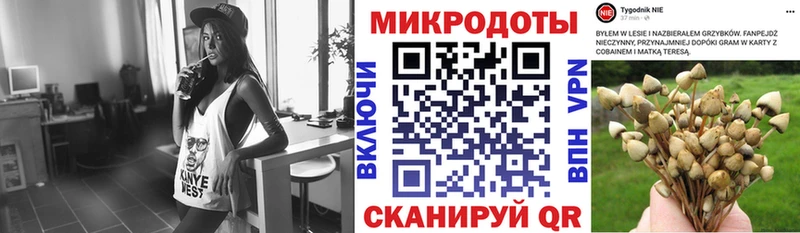 цена   Тюкалинск  KRAKEN зеркало  Псилоцибиновые грибы MAGIC MUSHROOMS 
