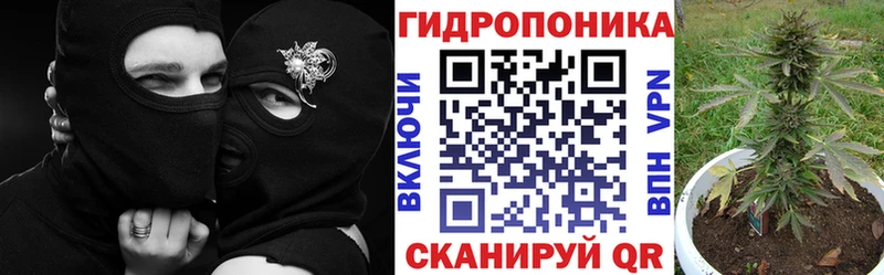 где можно купить   Тюкалинск  Каннабис OG Kush 